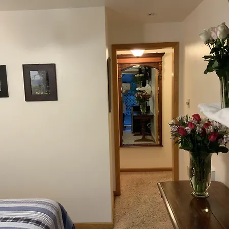 The Woods Hotel - Gay Lgbtq Cabins-3